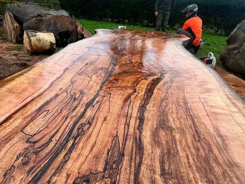 Beautiful exposed grain in beech timber